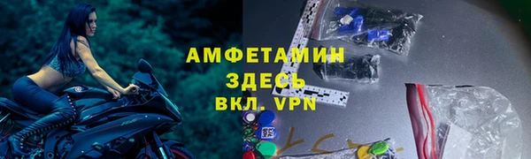 гидра Карпинск