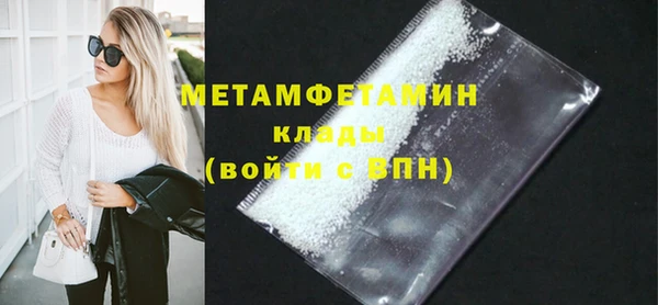 прущие грибы Каменногорск