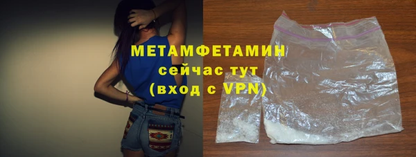 гидра Карпинск
