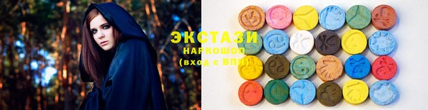 гидра Карпинск