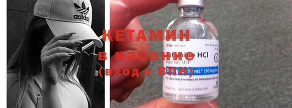 гидра Карпинск