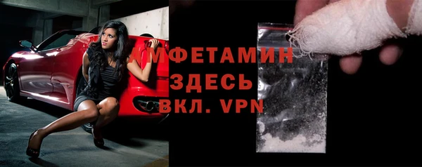 гидра Карпинск