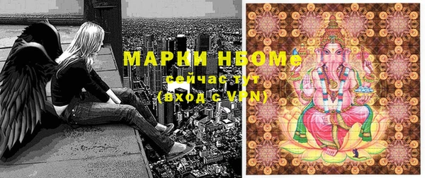 гидра Карпинск