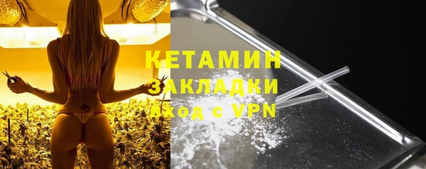 гидра Карпинск