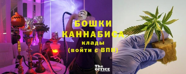 гидра Карпинск