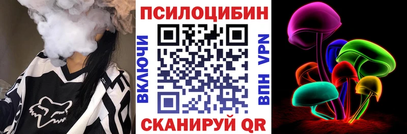 где можно купить   Зеленогорск  маркетплейс клад  Псилоцибиновые грибы GOLDEN TEACHER 