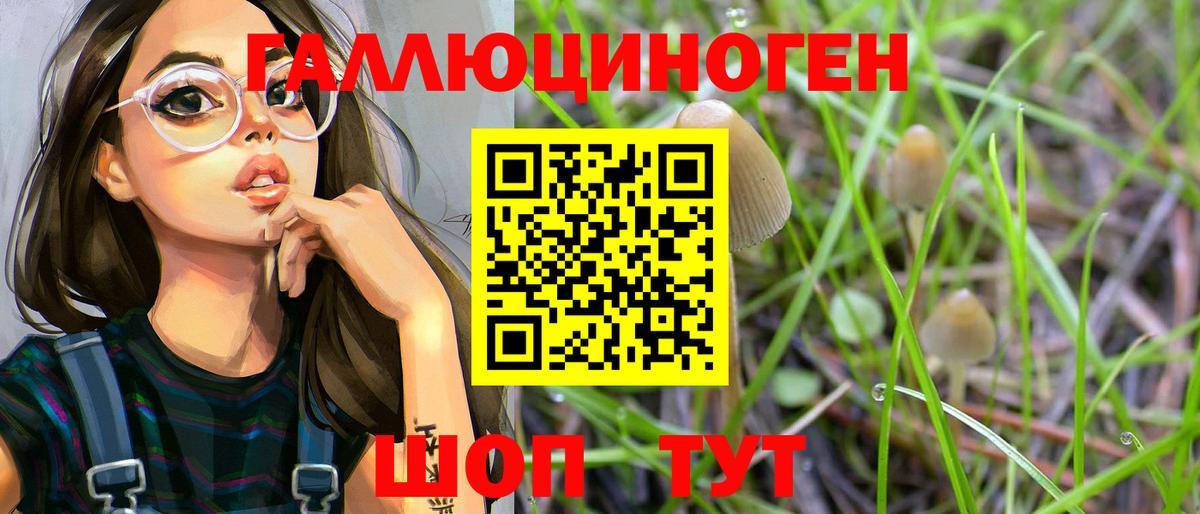 Псилоцибиновые грибы Cubensis Зеленогорск
