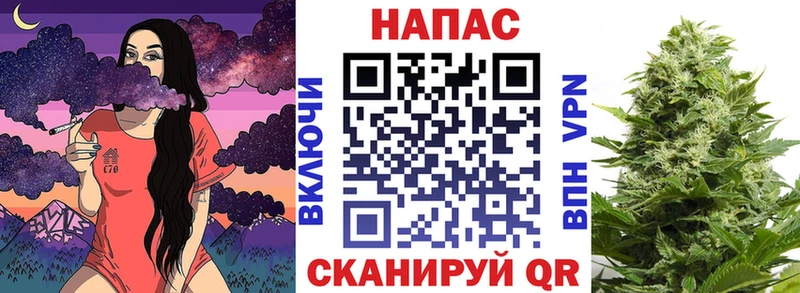 Бошки марихуана Ganja  это наркотические препараты  Зеленогорск 